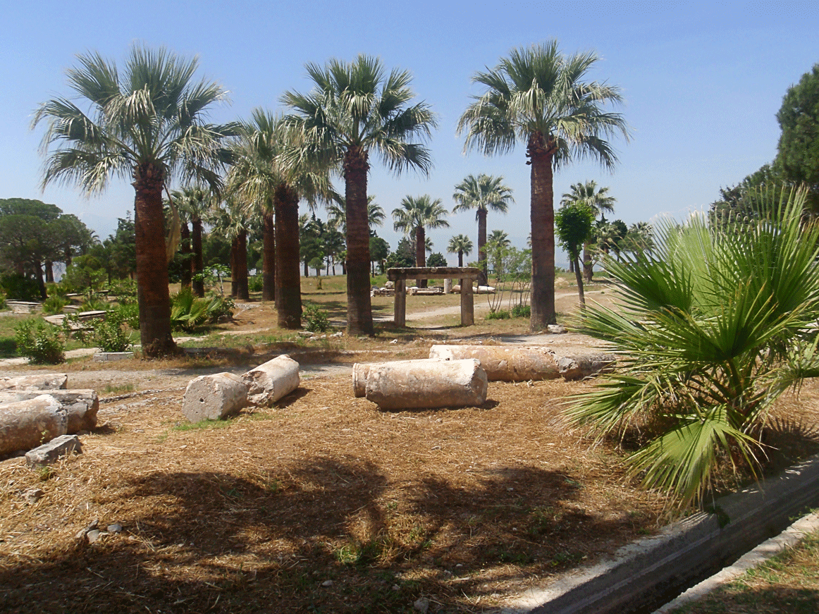 Турция из Красноярска - пальмы на развалинах античного города Хиераполис по дороге Стамбул-Мармарис